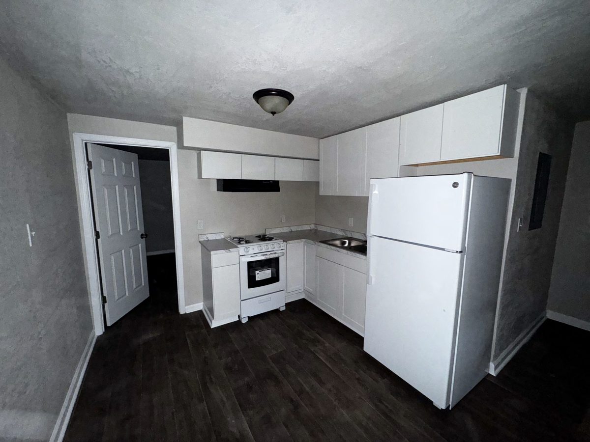 1-bedroom apartment kitchen